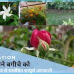 Garden Tips - सँवारे अपने बगीचे को इन नियमो से