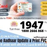 Aadhaar Update & PVC Card